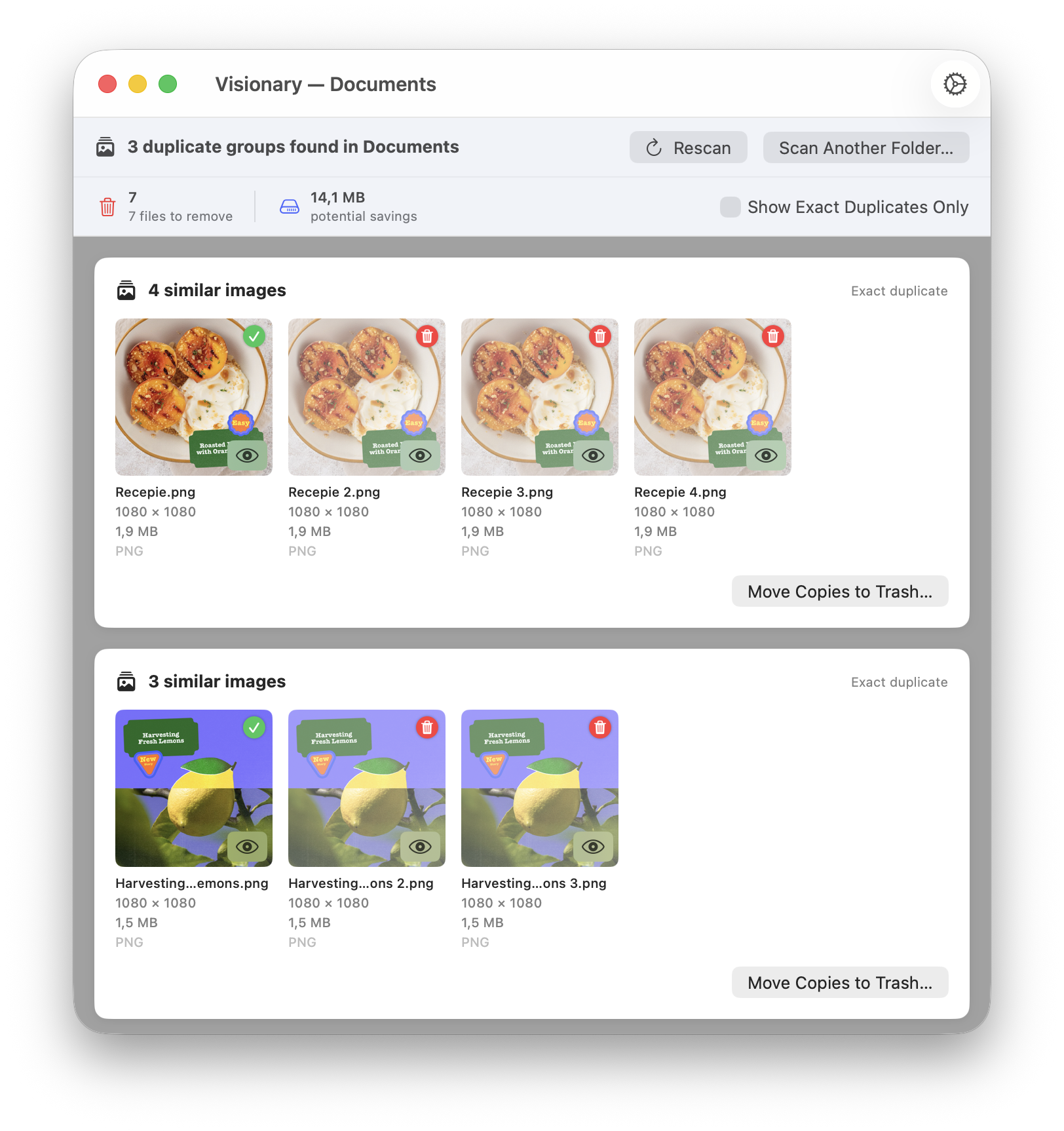 Visionary showing duplicate image groups